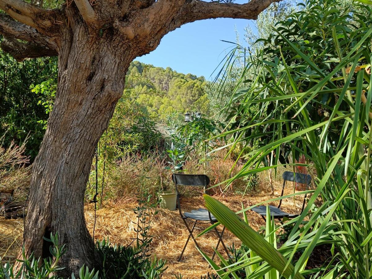 Casa Oasis Διαμέρισμα Alora Εξωτερικό φωτογραφία