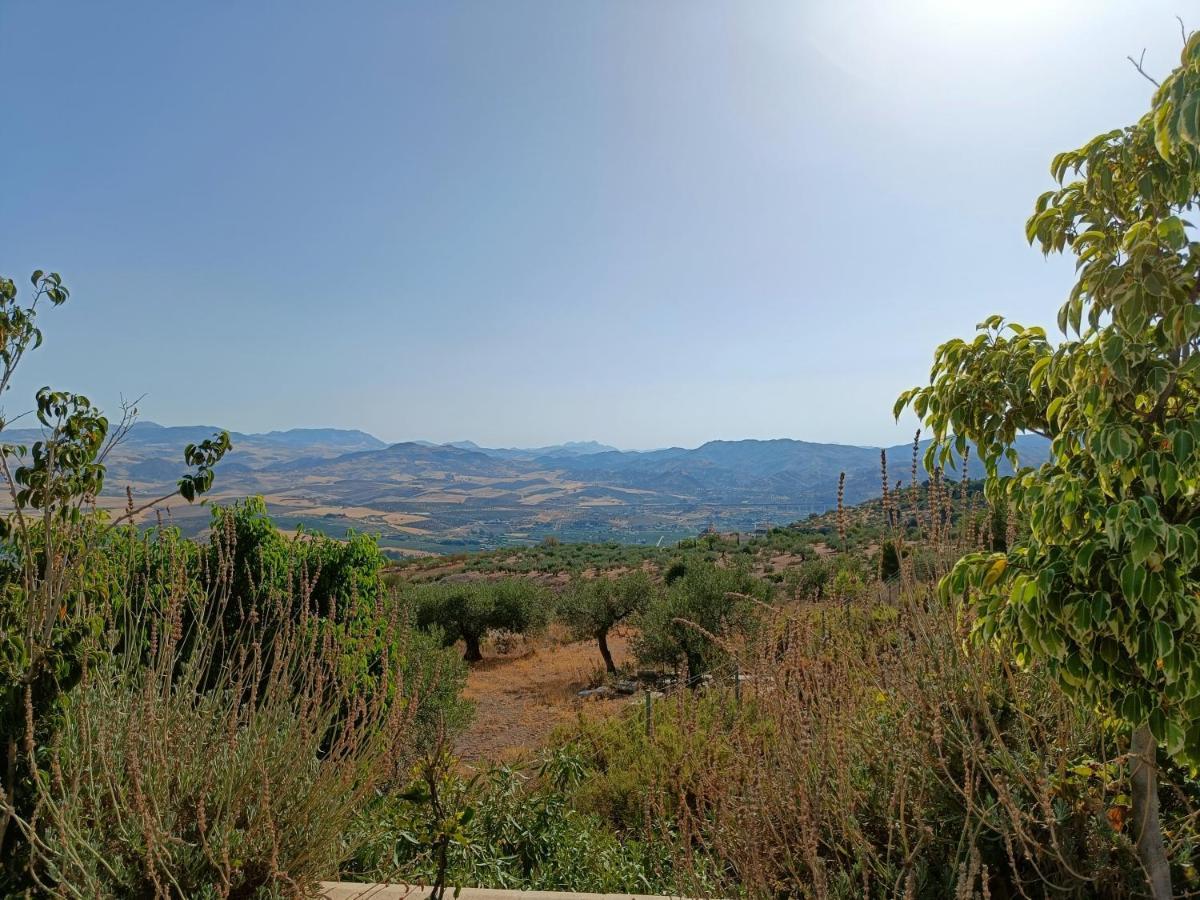 Casa Oasis Διαμέρισμα Alora Εξωτερικό φωτογραφία