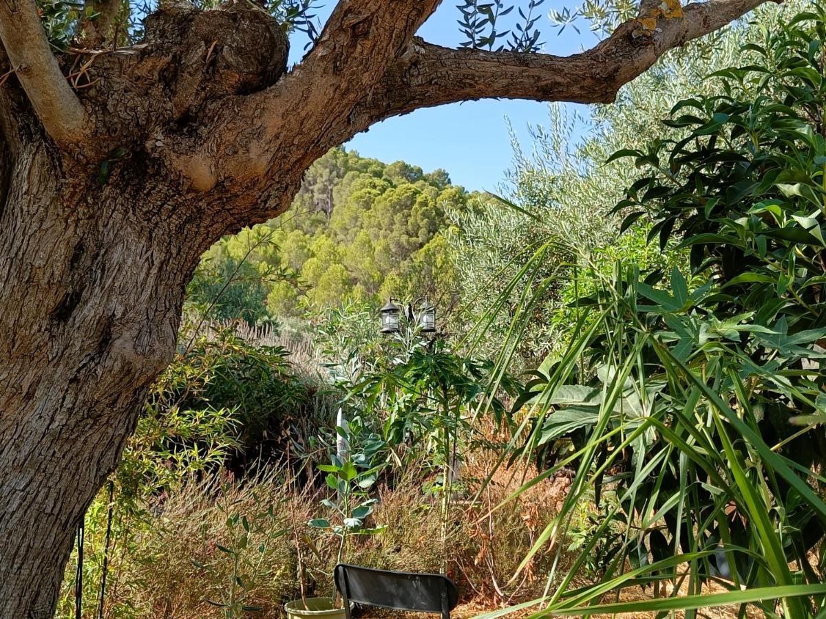 Casa Oasis Διαμέρισμα Alora Εξωτερικό φωτογραφία