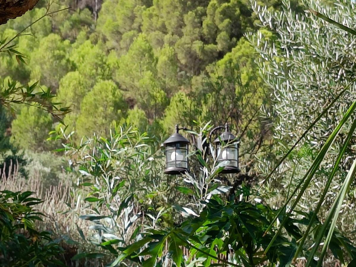 Casa Oasis Διαμέρισμα Alora Εξωτερικό φωτογραφία